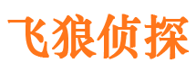 满城市私家侦探公司